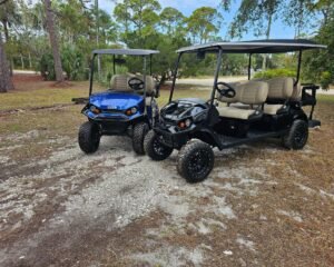 Top Services to Explore in St. George Island Florida with a Golf Cart Rental