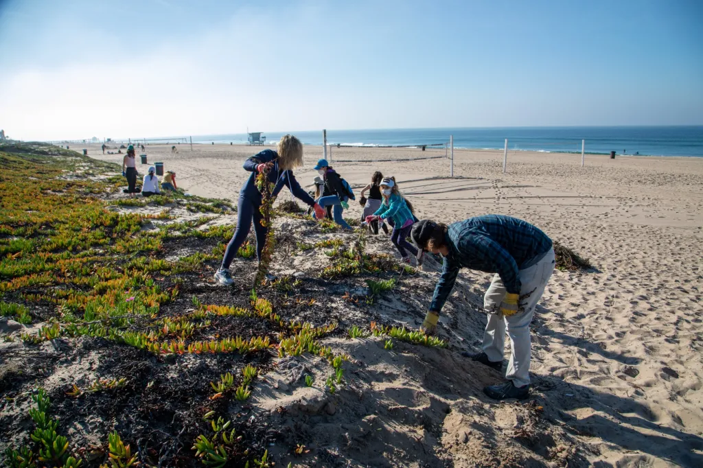 You are currently viewing SGI Beach and Dune Spring Cleaning 2025 – Join the Movement!