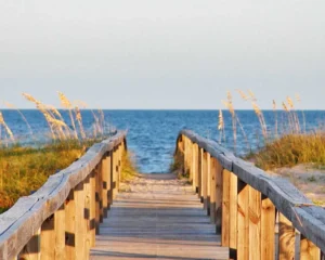 Best Time to Explore St George Island? Cruise in Style with a Golf Cart!