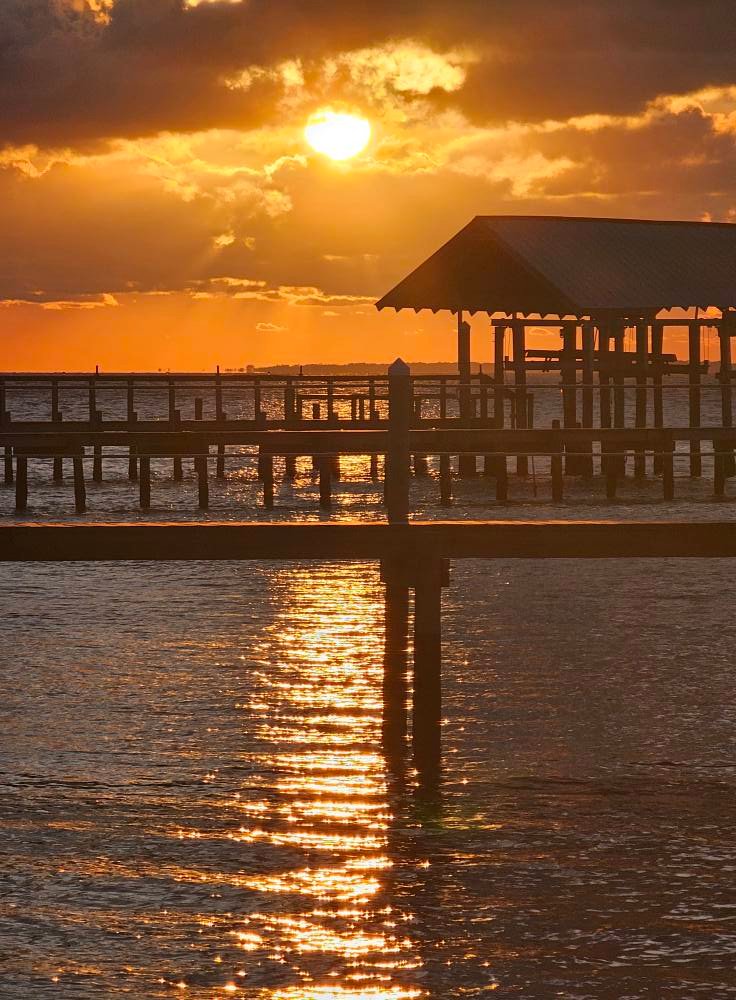 Premium Golf Cart Rental Service in St George Island Florida